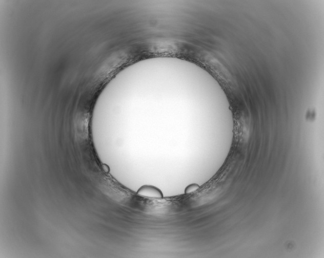 X0000093620717200710291226
