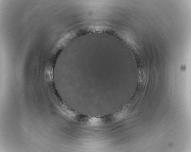 X0000093620718200710291226