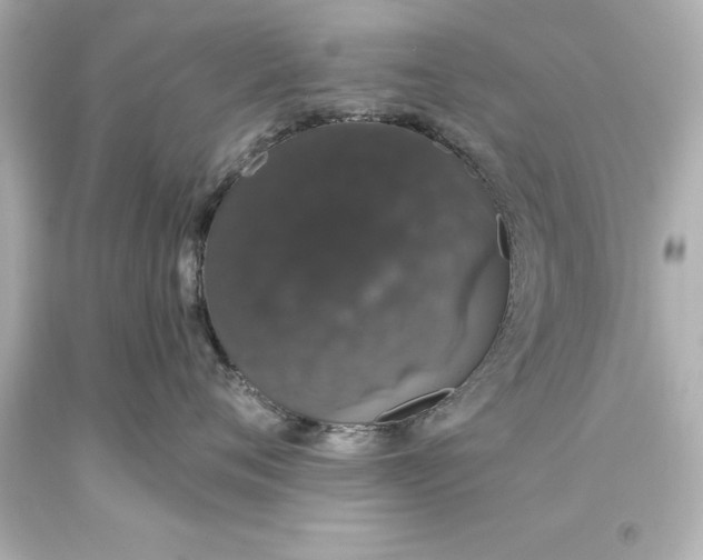 X0000093620720200710291226