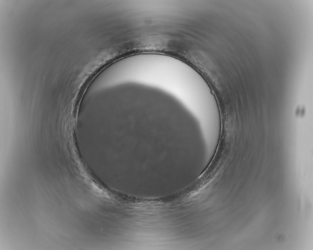 X0000093620721200710291225