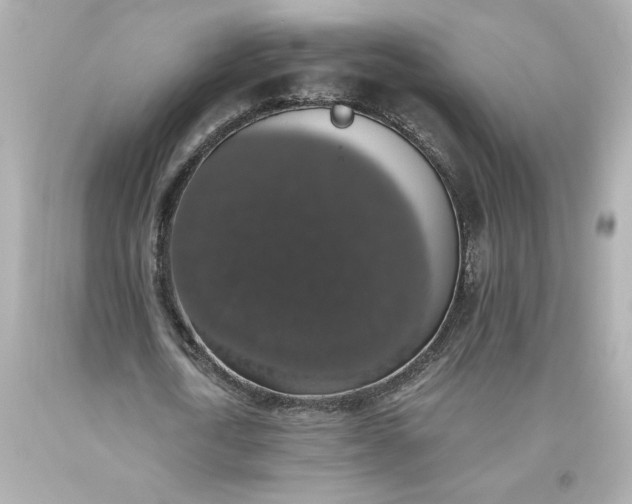 X0000093620722200710291225