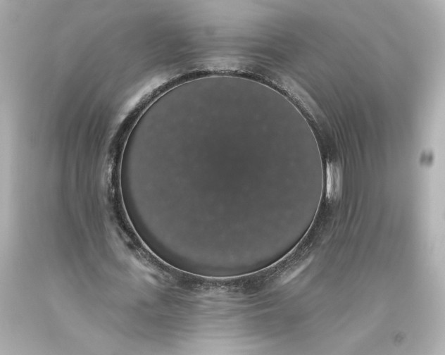 X0000093620723200710291225