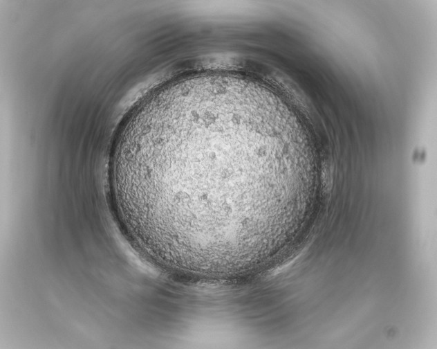 X0000093620725200710291226