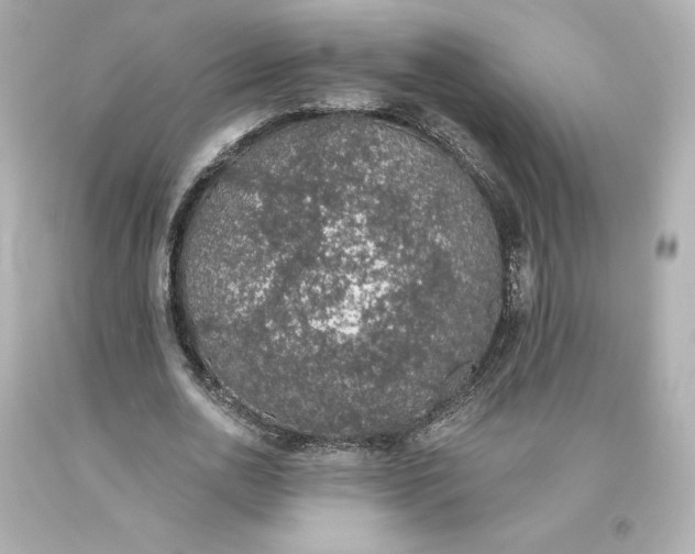 X0000093620726200710291226