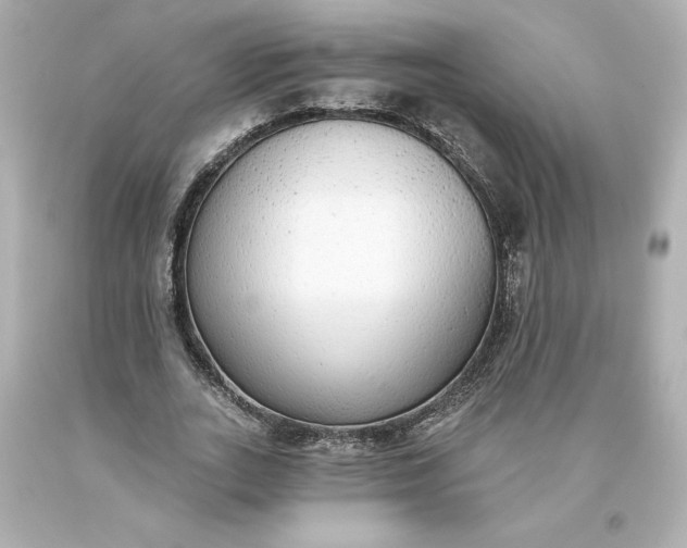 X0000093620727200710291226