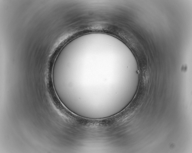 X0000093620728200710291226