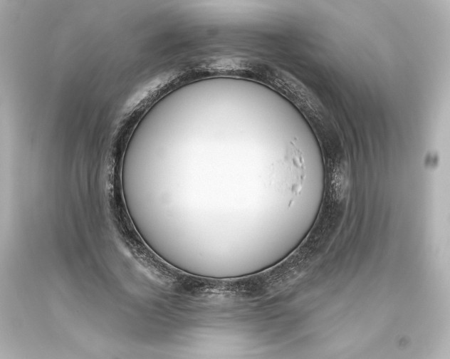 X0000093620732200710291226