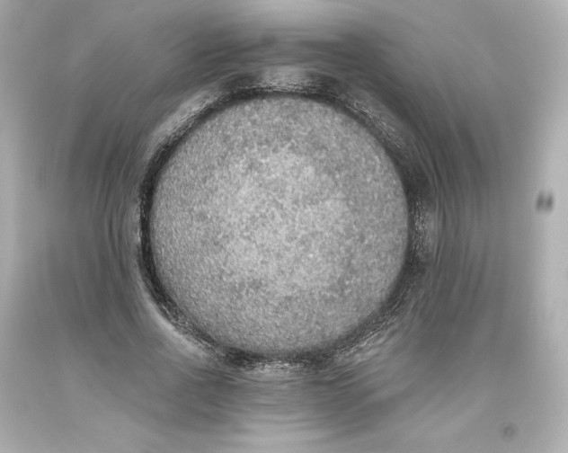 X0000093620734200710291226