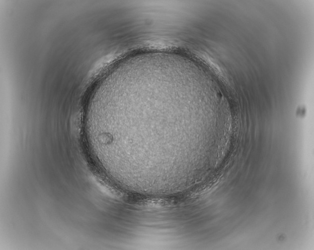 X0000093620736200710291226