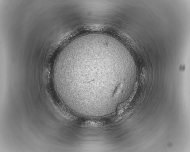 X0000093620739200710291226