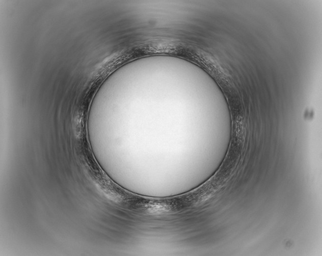 X0000093620741200710291226
