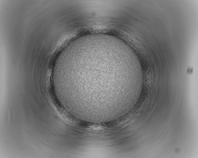X0000093620742200710291226