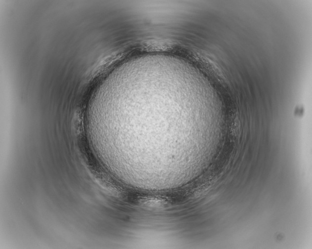 X0000093620743200710291226