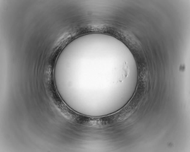 X0000093620744200710291226