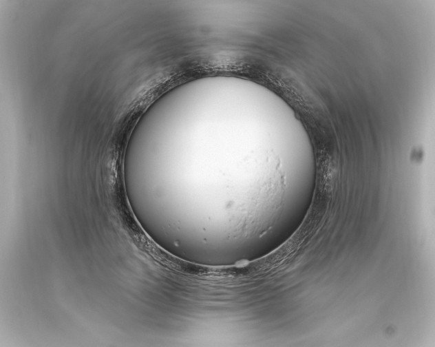 X0000093620746200710291226