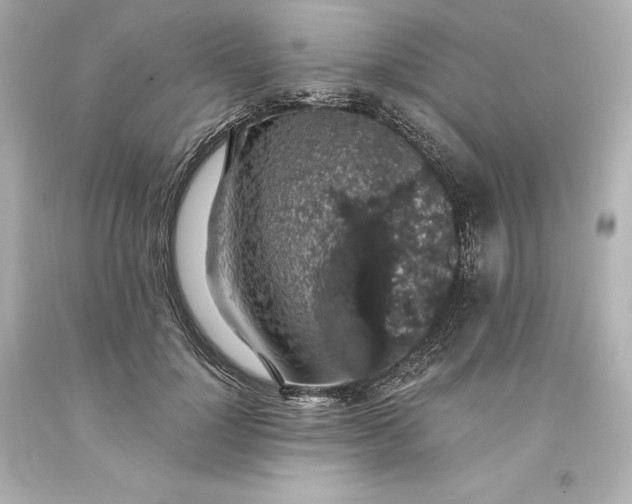 X0000093620748200710291226