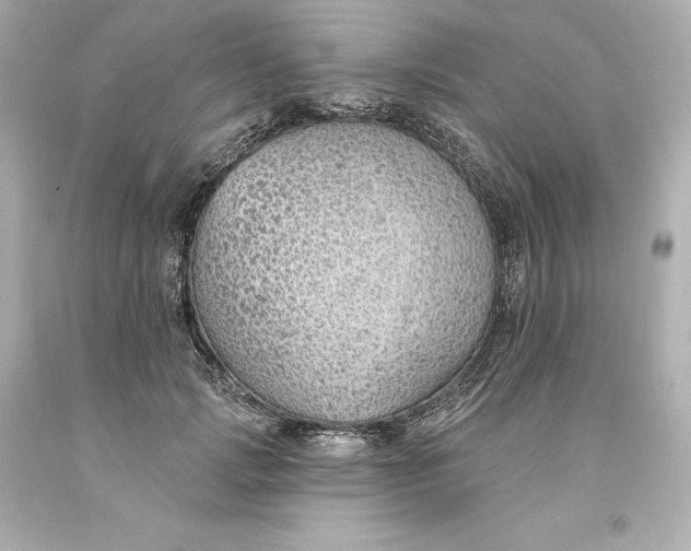 X0000093620749200710291226