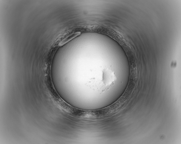 X0000093620750200710291226