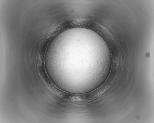 X0000093620751200710291226