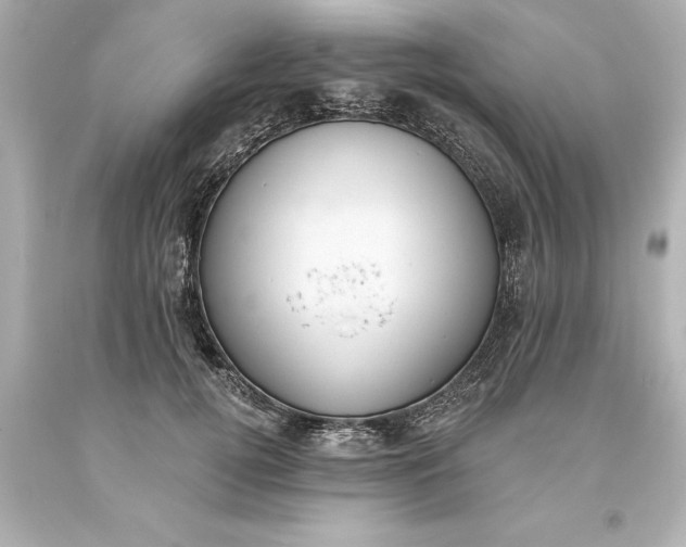 X0000093620752200710291226