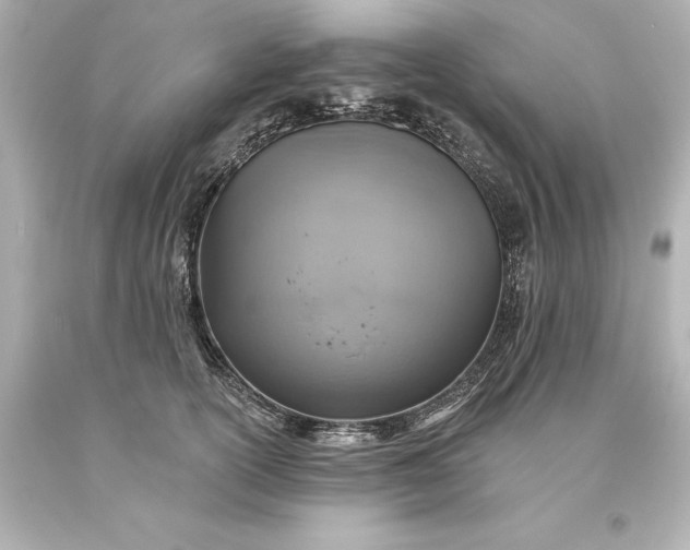 X0000093620754200710291226