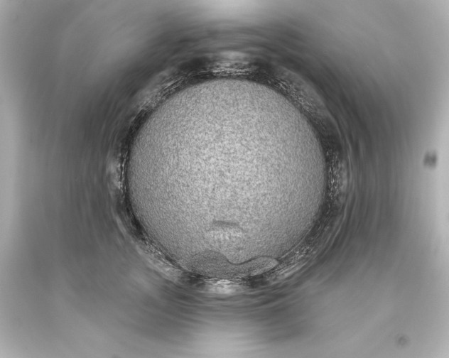 X0000093620755200710291226
