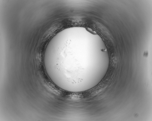 X0000093620756200710291226