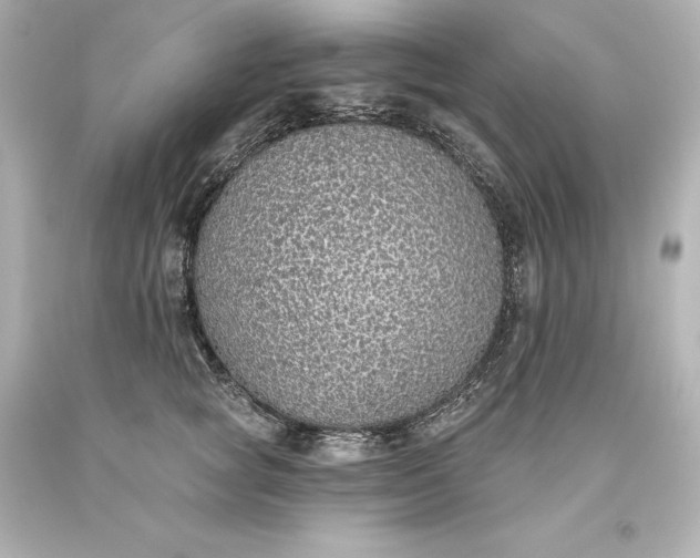 X0000093620757200710291226