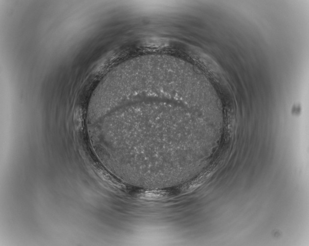 X0000093620758200710291226