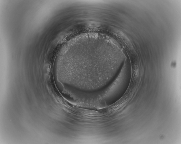 X0000093620759200710291226