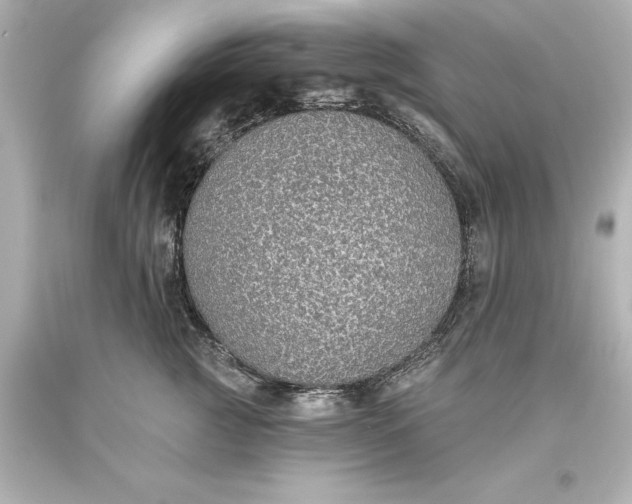 X0000093620761200710291226