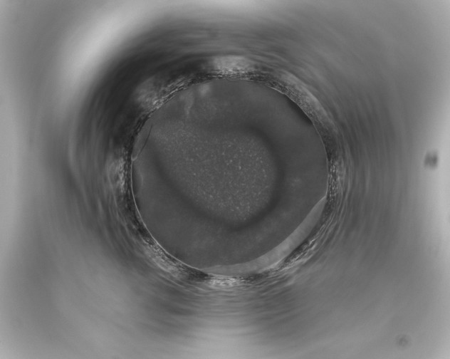 X0000093620762200710291226