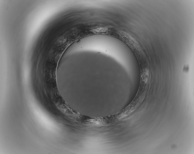 X0000093620763200710291226