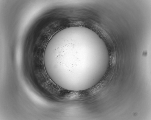 X0000093620764200710291226