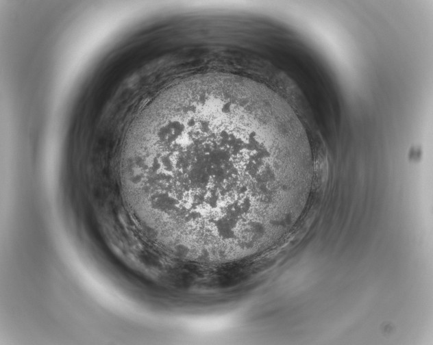 X0000093620765200710291226