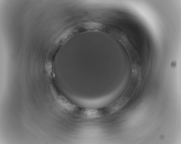 X0000093620767200710291226