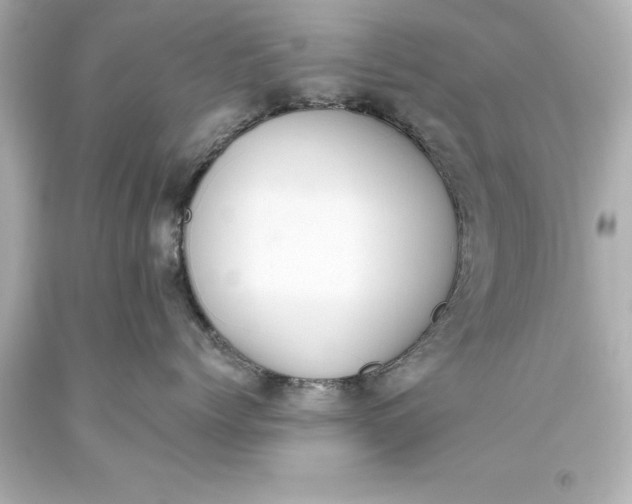 X0000093620768200710291226