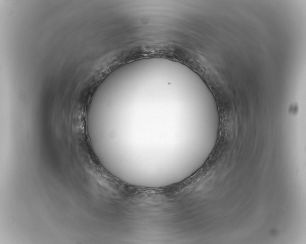 X0000093620770200710291225