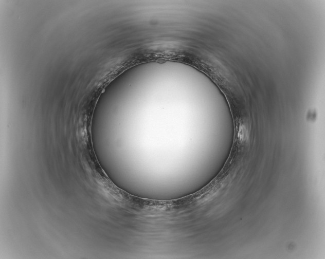 X0000093620771200710291225