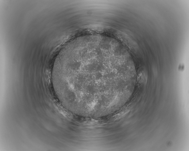 X0000093620772200710291225