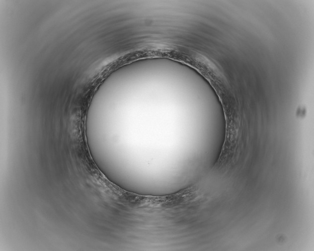 X0000093620773200710291225
