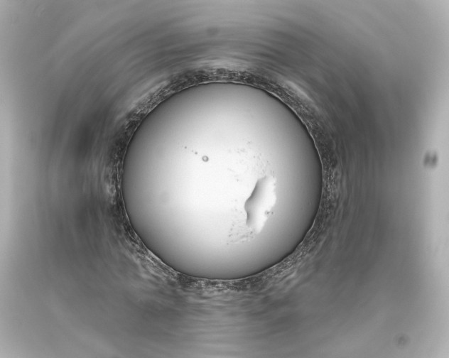 X0000093620774200710291225