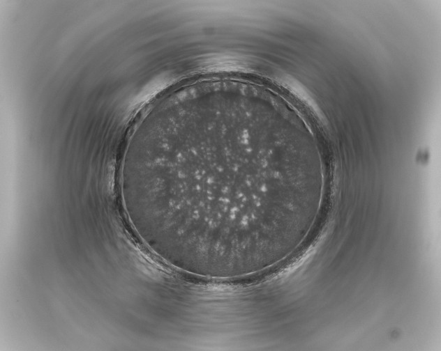 X0000093620777200710291225