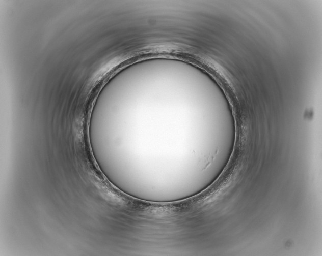 X0000093620778200710291225