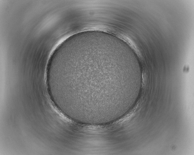 X0000093620780200710291225