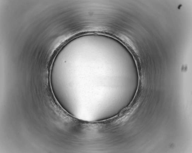 X0000093620781200710291225