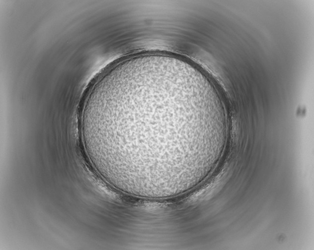 X0000093620782200710291225