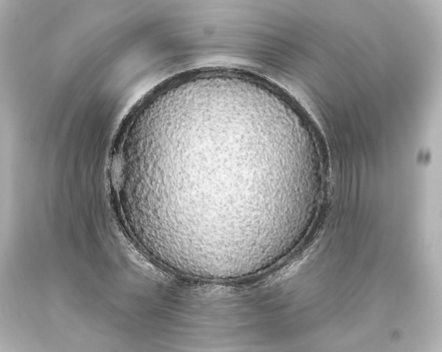 X0000093620783200710291225