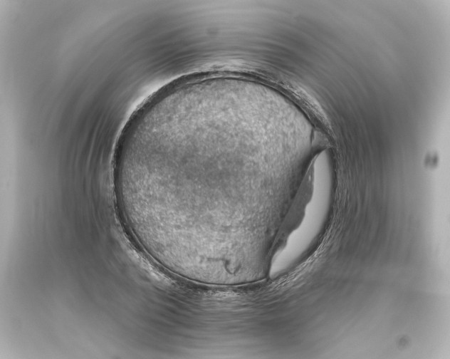 X0000093620784200710291225