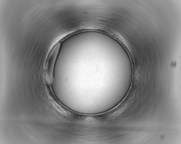 X0000093620787200710291225